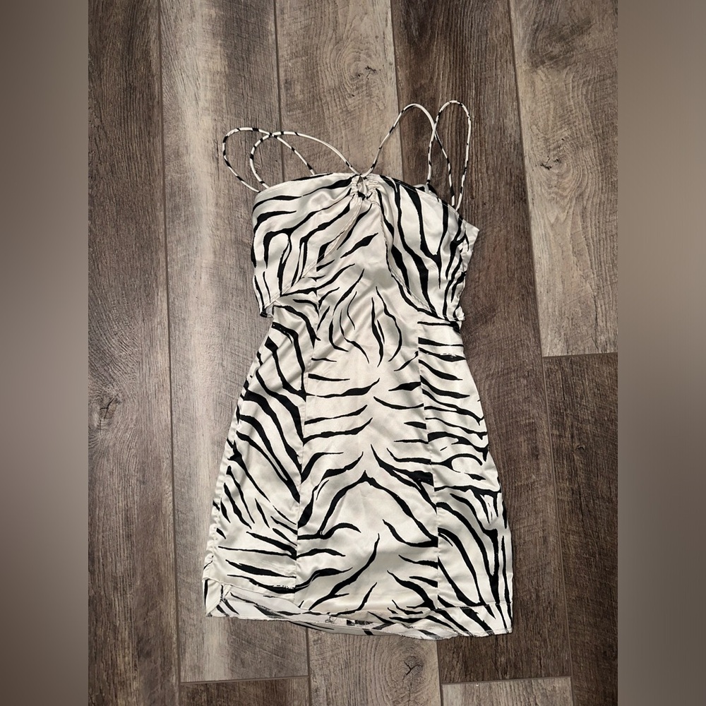 Zara Zebra Print Dress